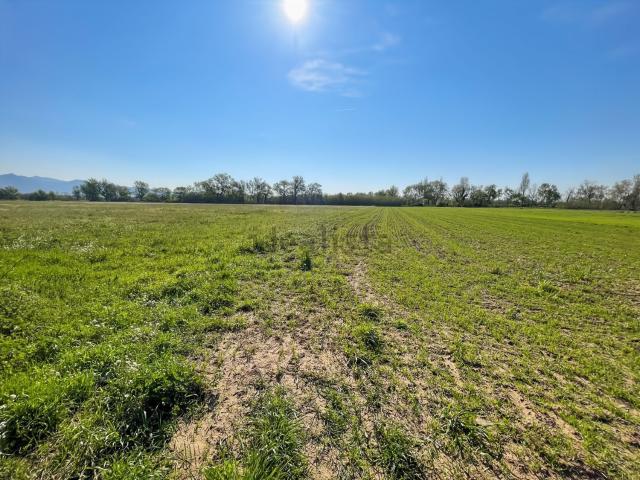 Terreno en venta en Empuriabrava i entorn, Alt Empordà