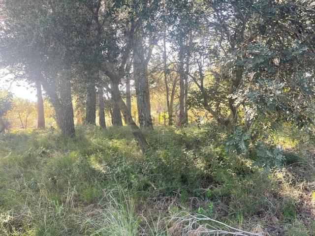 Terreno en venta en Baix Camp, Catalunya