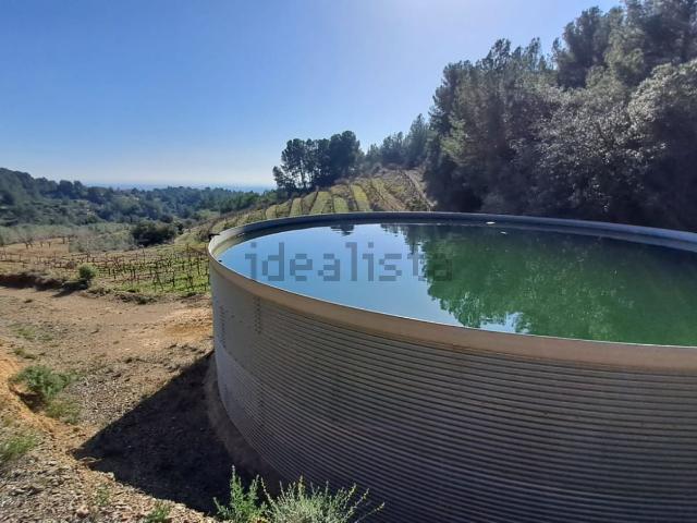 Terreno en venta en Baix Camp, Catalunya