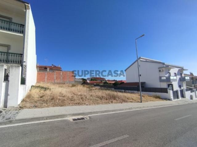 Terreno venda em Castelo Branco