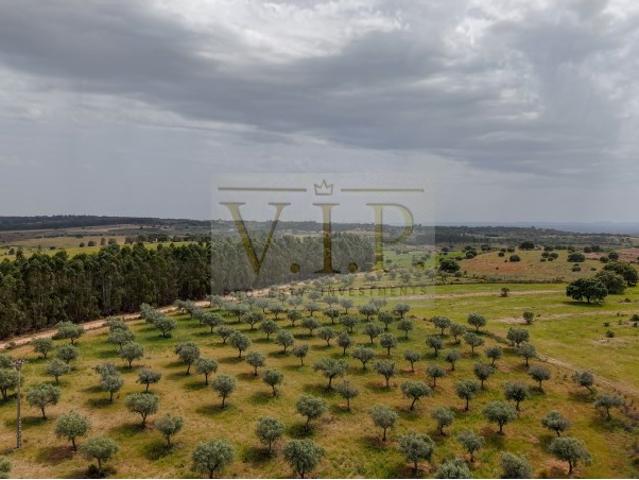 Terreno venda em Castelo Branco, Idanha-a-nova
