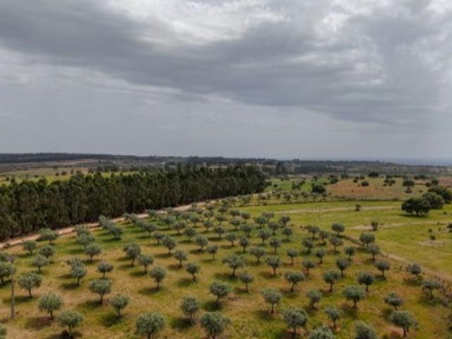 Terreno venda em Castelo Branco, Idanha-a-nova
