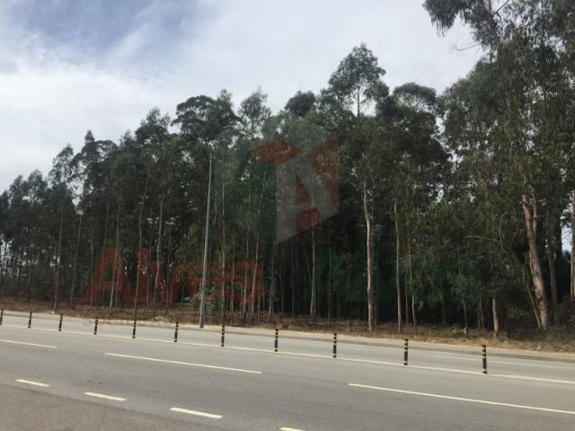 Terreno alugar em Maia, Barca