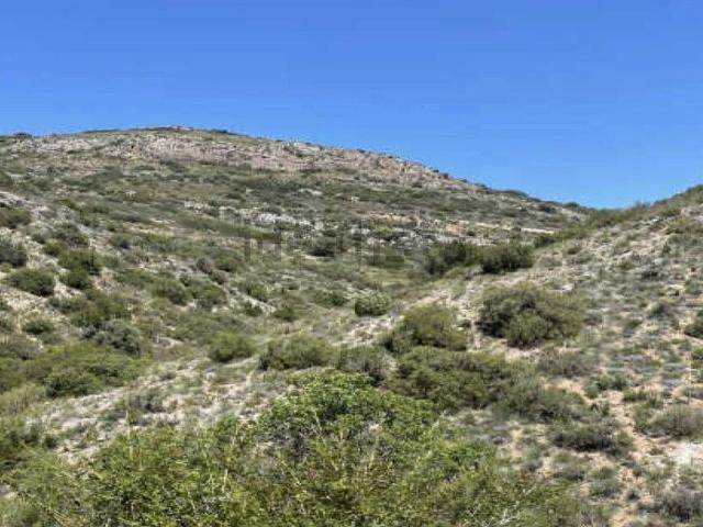 Terreno en venta en La Litera / La Llitera, Castillonroy