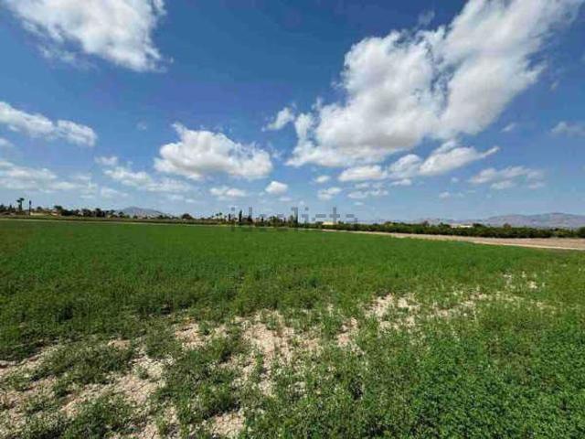 Terreno en venta en el Baix Segura / La Vega Baja, Valencia
