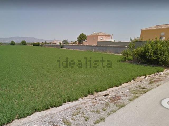Terreno en alquiler en Catral, Valencia