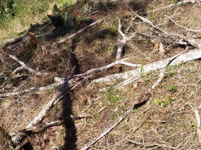 Terreno venda em Região Imediata de São Paulo, Região Metropolitana de São Paulo
