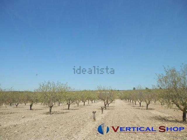 Terreno en venta en Caudete, Castilla-La Mancha