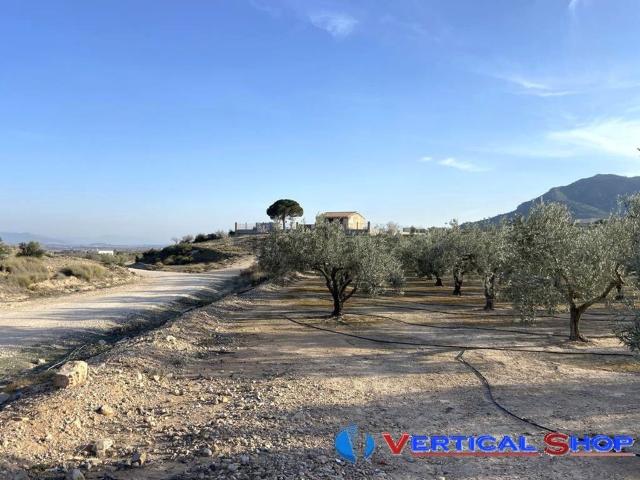 Terreno en venta en Caudete, Castilla-La Mancha