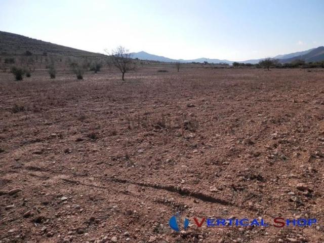 Terreno en venta en Caudete, Castilla-La Mancha