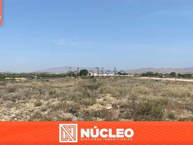 Terreno en venta en el Verdegàs, l'Alacantí