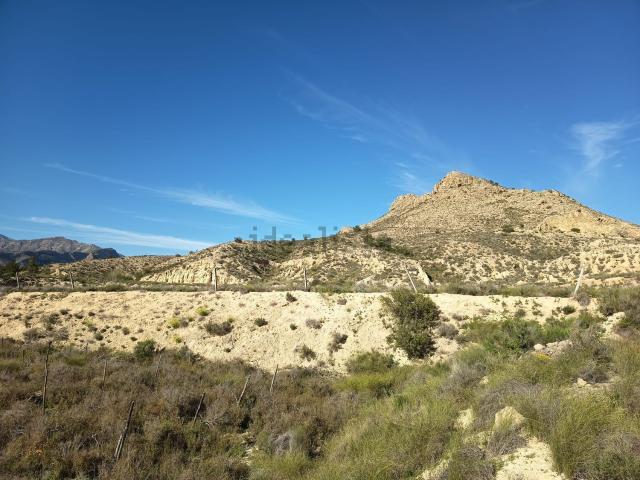 Terreno en venta en Urbanització El Pintat, l'Alacantí