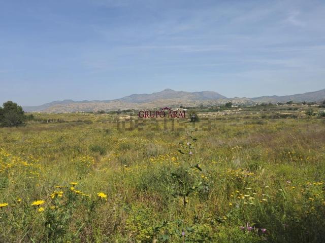 Terreno en venta en el Verdegàs, l'Alacantí