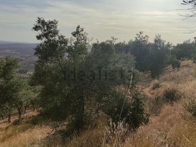 Terreno en venta en Cañamero, Extremadura