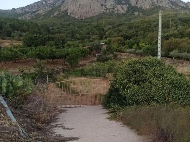 Terreno en venta en Cañamero, Extremadura