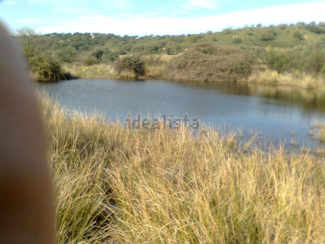 Terreno en venta en Cañamero, Cáceres