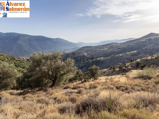 Terreno en venta en Comarca de la Alpujarra Granadina, Andalucía