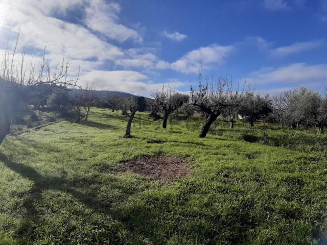 Terreno en venta en Cañaveral, Extremadura