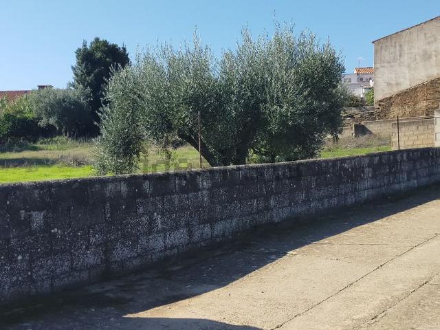 Terreno en venta en Cedillo, Extremadura