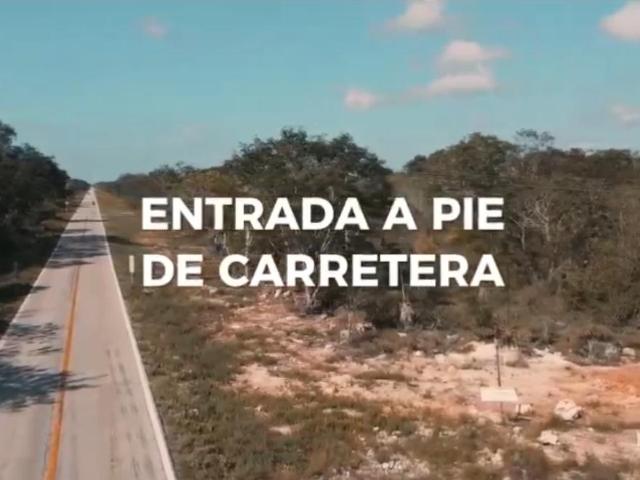 Terreno en venta en Celestún, Yucatán