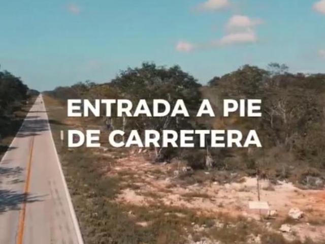 Terreno en venta en Celestún, Yucatán