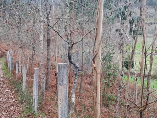 Terreno venda em Arcos De Valdevez, Viana Do Castelo