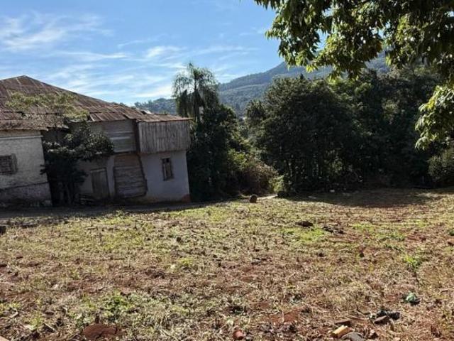 Terreno venda em Feliz