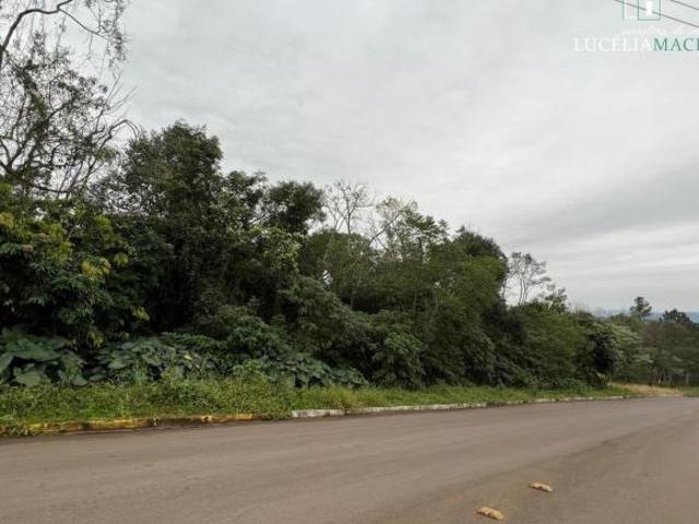 Terreno venda em Região Geográfica Imediata de Caxias do Sul, Alto Feliz