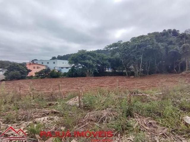 Terreno venda em Região Geográfica Imediata de Caxias do Sul, Alto Feliz