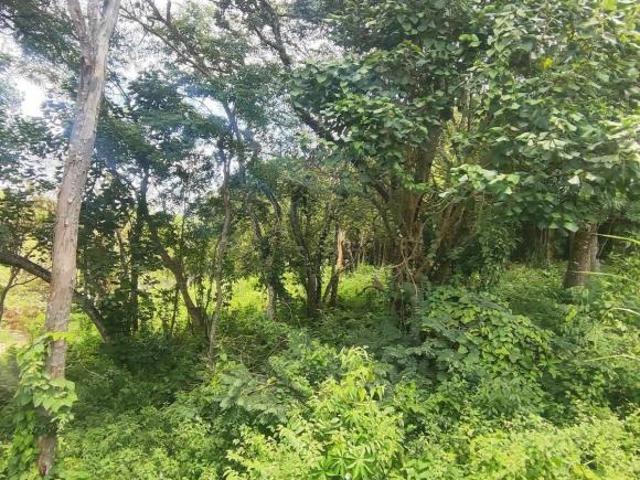 Terreno venda em Barra do Una, São Sebastião
