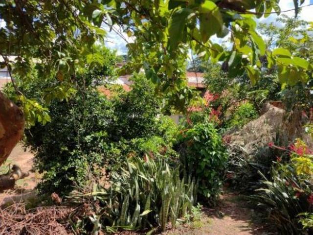 Terreno venda em Região Imediata de Catanduva, Jataúba