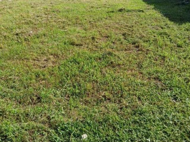 Terreno venda em Região Geográfica Imediata de Porto Alegre, Região Metropolitana de Porto Alegre
