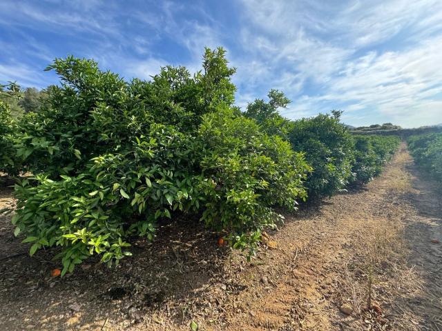 Terreno en venta en Centro, Málaga-Costa del Sol