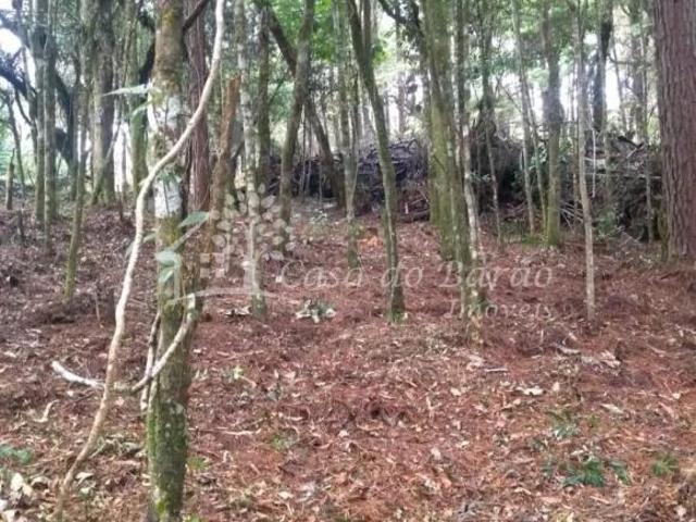 Terreno venda em Região Geográfica Imediata de Pouso Alegre, Camanducaia