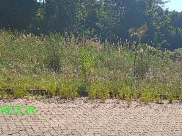 Terreno venda em Região Geográfica Imediata de Montenegro, Pareci Novo