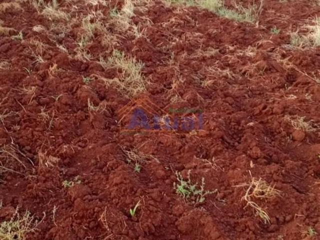 Terreno venda em Região Geográfica Imediata de Santo Ângelo, São Miguel das Missões