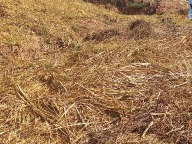 Terreno venda em Região Imediata de São José dos Campos, Região Metropolitana do Vale do Paraíba e Litoral Norte