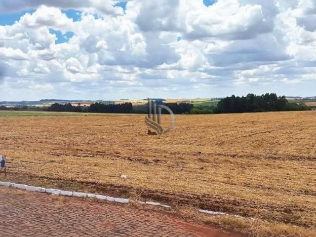 Terreno venda em Selbach