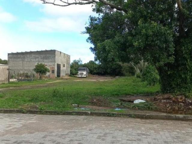 Terreno venda em Tapes
