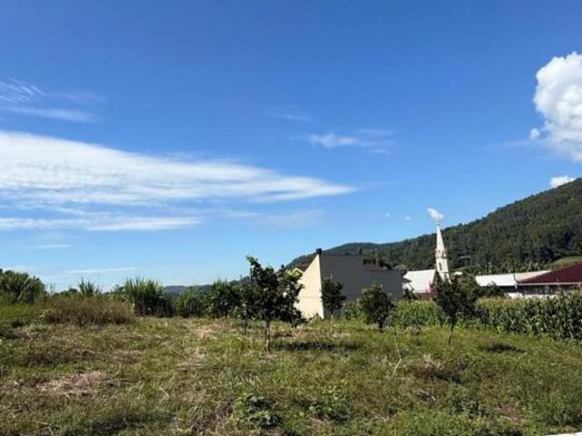 Terreno venda em Região Geográfica Imediata de Novo Hamburgo - São Leopoldo, Tupandi