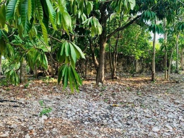 Terreno cerca de tren Maya en Merida Yucatan propiedad privada