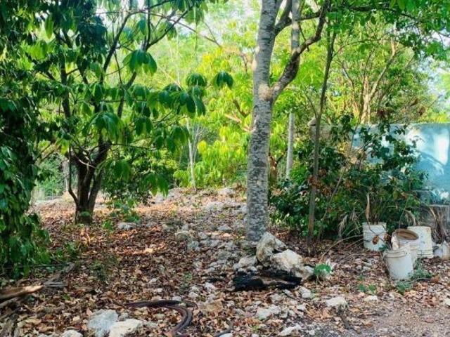 Terreno cerca de tren Maya en Merida Yucatan propiedad privada