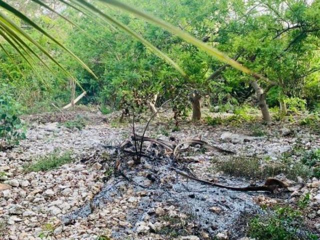 Terreno cerca de tren Maya en Merida Yucatan propiedad privada