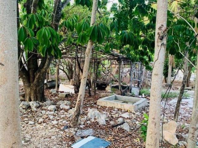 Terreno cerca de tren Maya en Merida Yucatan propiedad privada