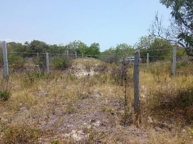 Terreno en venta en Celestún, Yucatán