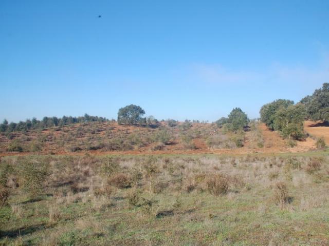 Terreno venda em Cercal, Santiago Do Cacém