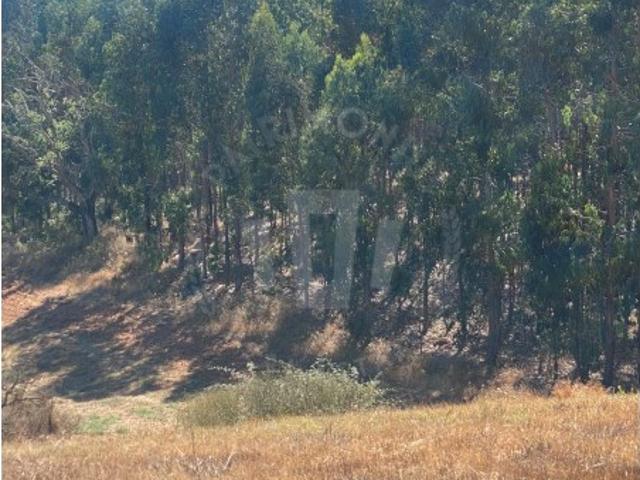 Terreno venda em Odemira, Beja