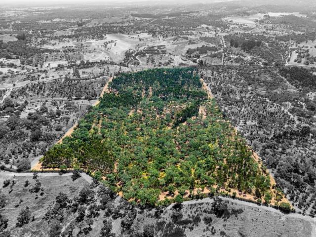 Terreno venda em Odemira, Beja
