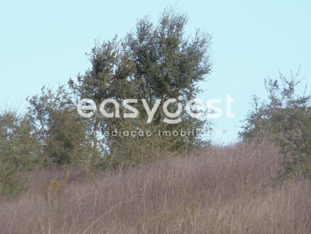 Terreno venda em Odemira, Beja