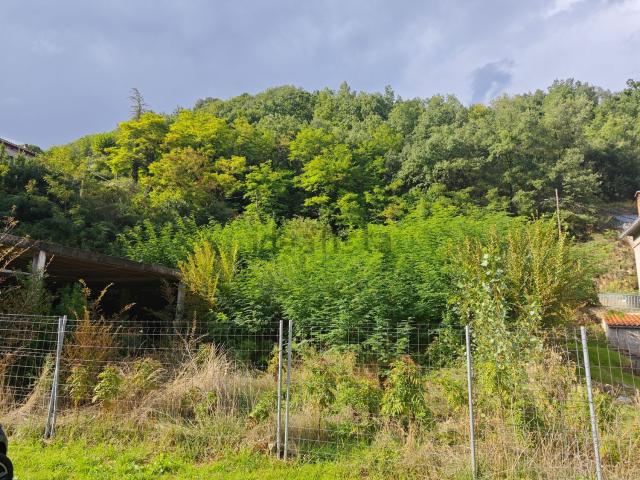 Terreno en venta en Berguedà, Catalunya